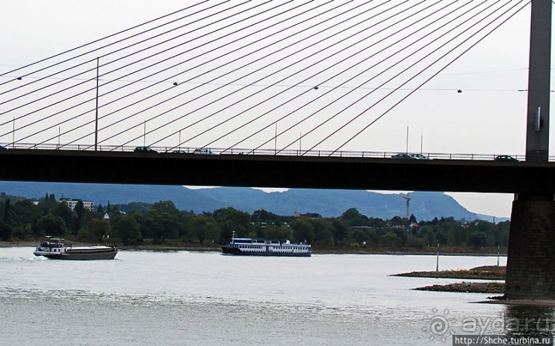 Что ходит по Рейну