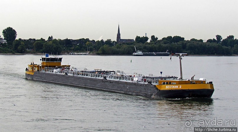 Что ходит по Рейну