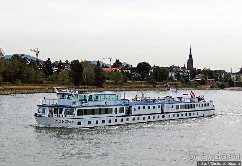 Что ходит по Рейну