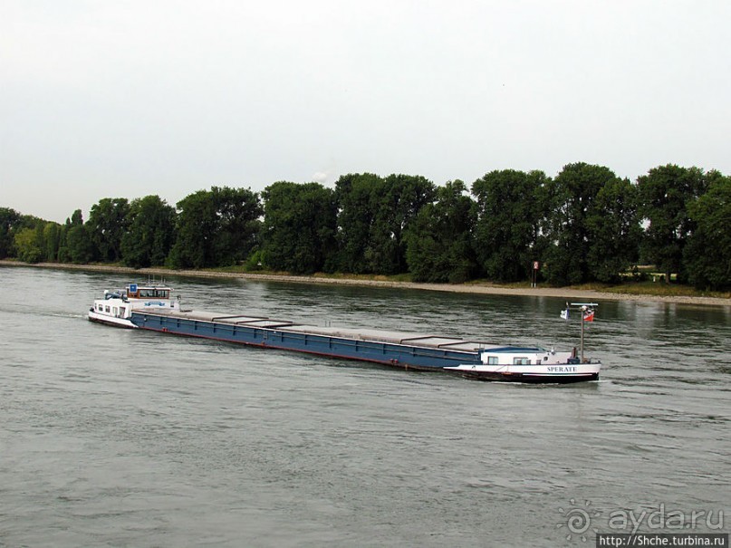 Что ходит по Рейну