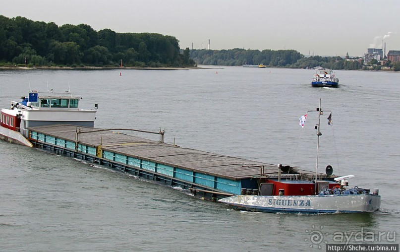 Что ходит по Рейну