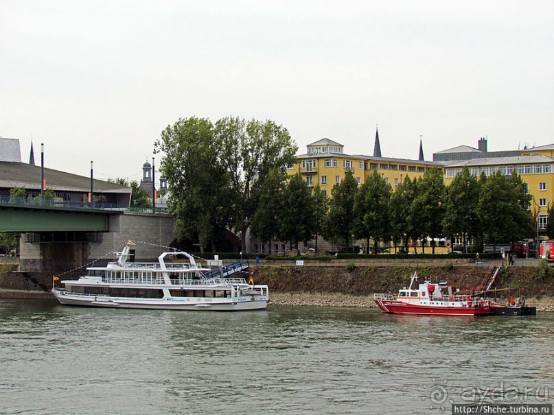 Что ходит по Рейну