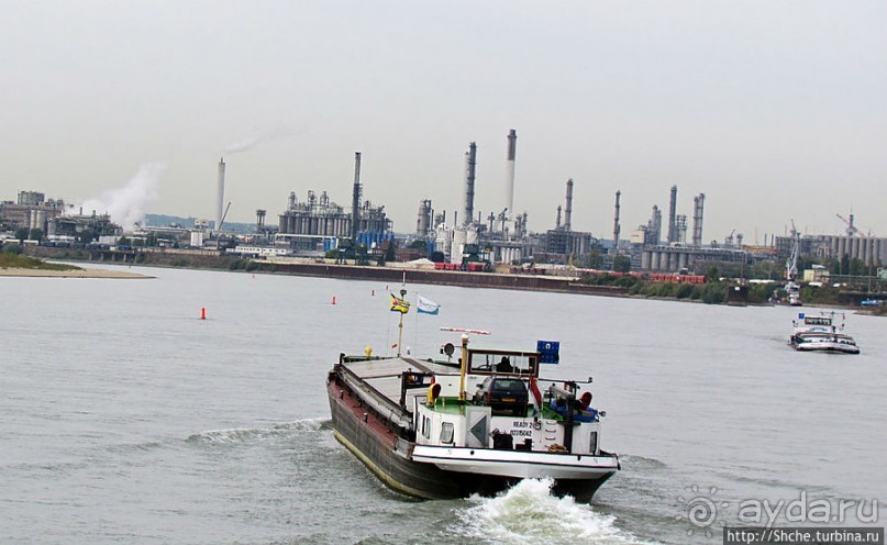 Что ходит по Рейну