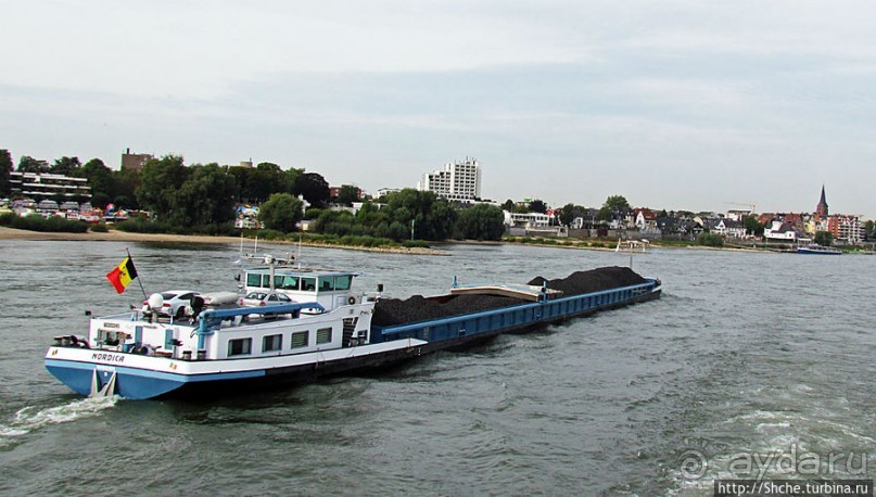 Что ходит по Рейну