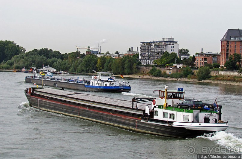 Что ходит по Рейну