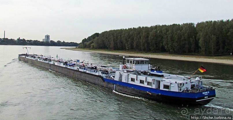 Что ходит по Рейну