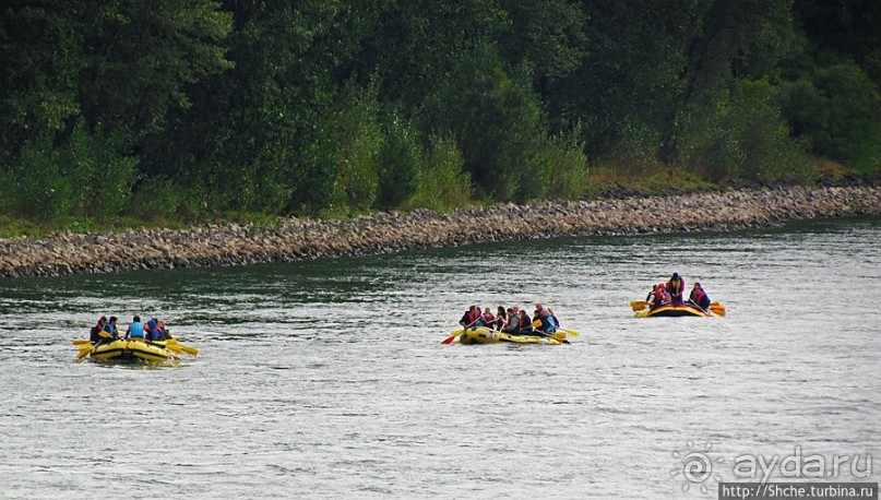 Что ходит по Рейну