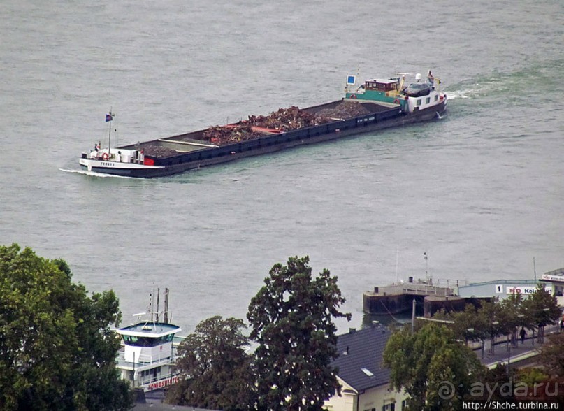 Что ходит по Рейну