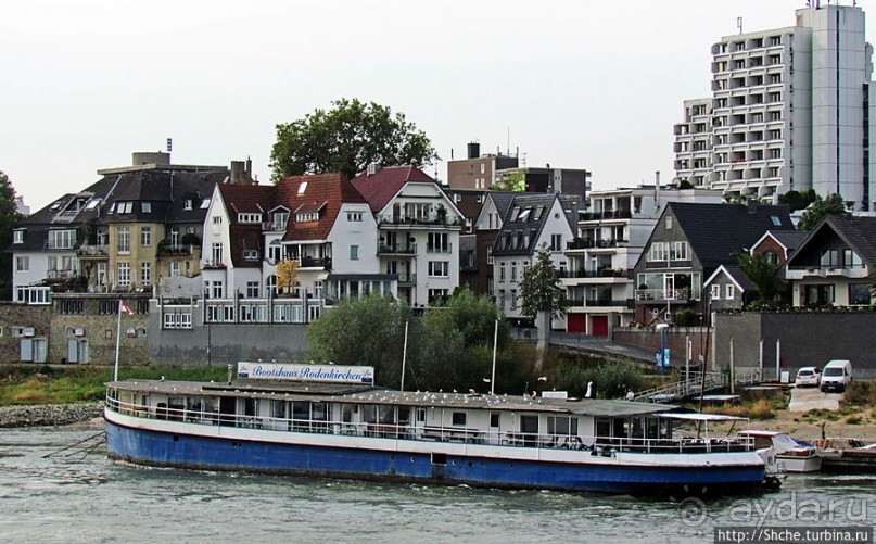 Что ходит по Рейну