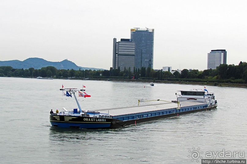 Что ходит по Рейну