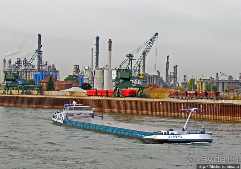 Что ходит по Рейну