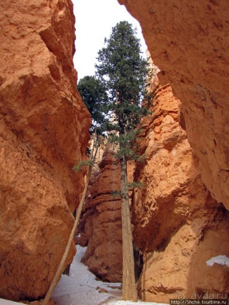 Погружение в Брайс-Каньон. Самое "вкусное", на десерт.