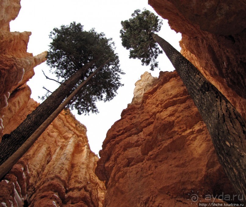 Погружение в Брайс-Каньон. Самое "вкусное", на десерт.