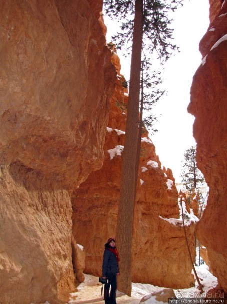 Погружение в Брайс-Каньон. Самое "вкусное", на десерт.