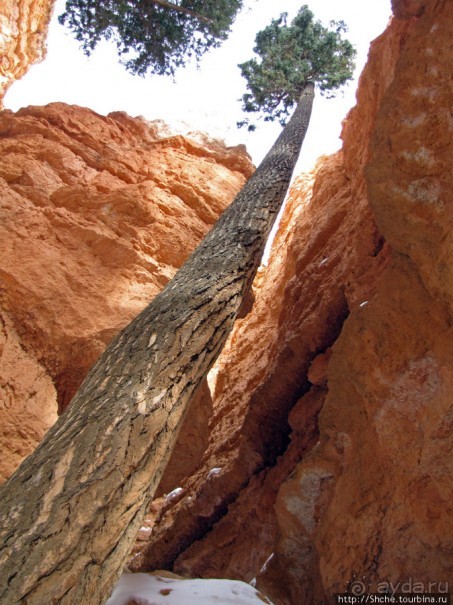 Погружение в Брайс-Каньон. Самое "вкусное", на десерт.