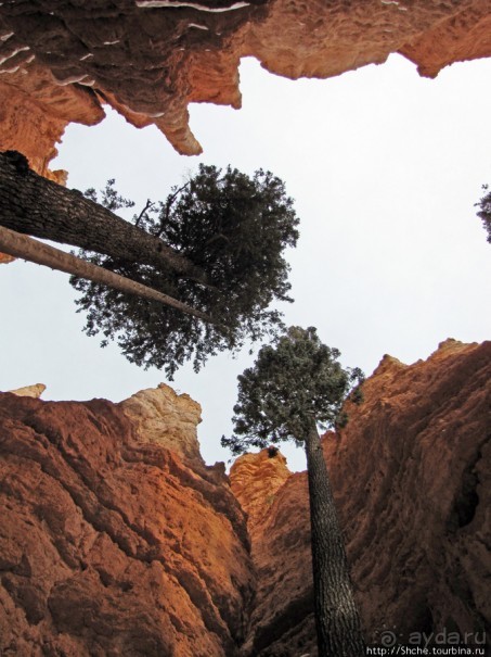 Погружение в Брайс-Каньон. Самое "вкусное", на десерт.