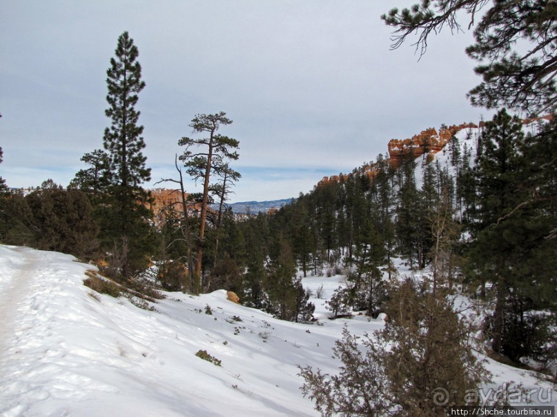 Погружение в Брайс-Каньон. Самое "вкусное", на десерт.