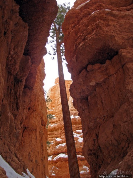 Погружение в Брайс-Каньон. Самое "вкусное", на десерт.
