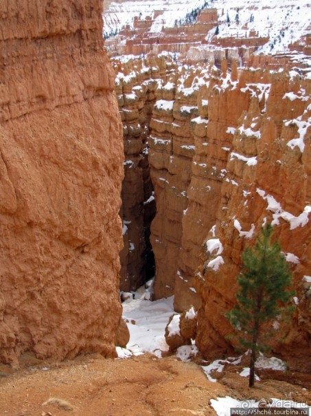 Погружение в Брайс-Каньон. Самое "вкусное", на десерт.
