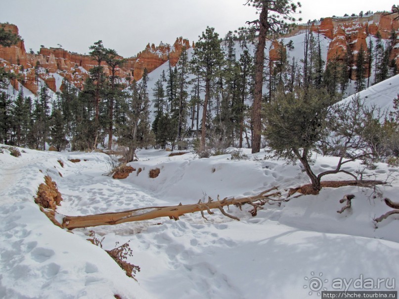 Погружение в Брайс-Каньон. Самое "вкусное", на десерт.