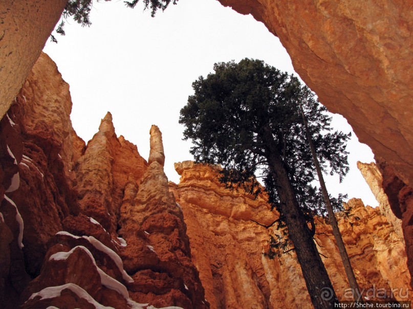 Погружение в Брайс-Каньон. Самое "вкусное", на десерт.