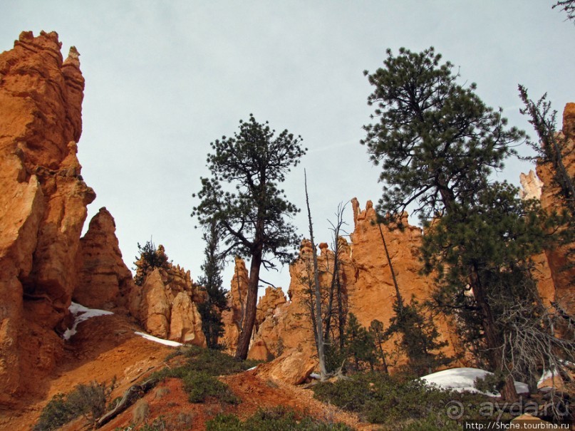 Погружение в Брайс-Каньон. Самое "вкусное", на десерт.