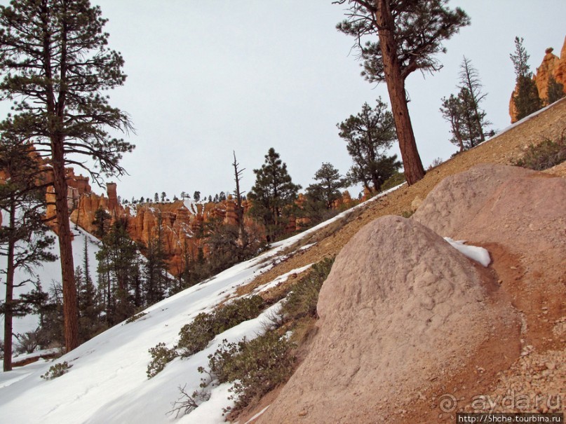Погружение в Брайс-Каньон. Самое "вкусное", на десерт.