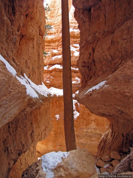 Погружение в Брайс-Каньон. Самое "вкусное", на десерт.