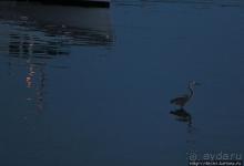 Самый раскрученный ресторан морепродуктов в Шарлоттауне