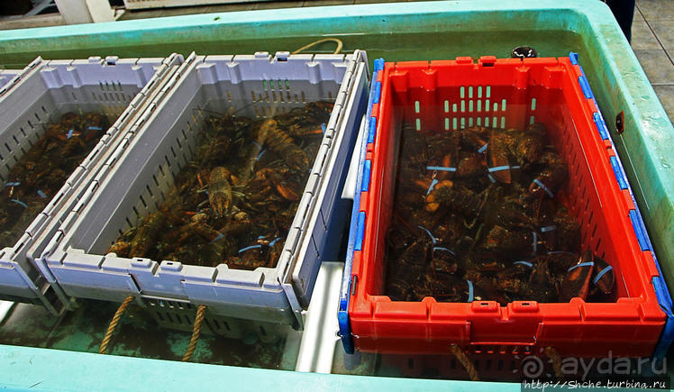 Самый раскрученный ресторан морепродуктов в Шарлоттауне