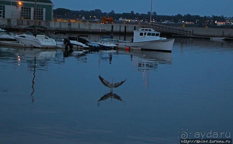 Самый раскрученный ресторан морепродуктов в Шарлоттауне