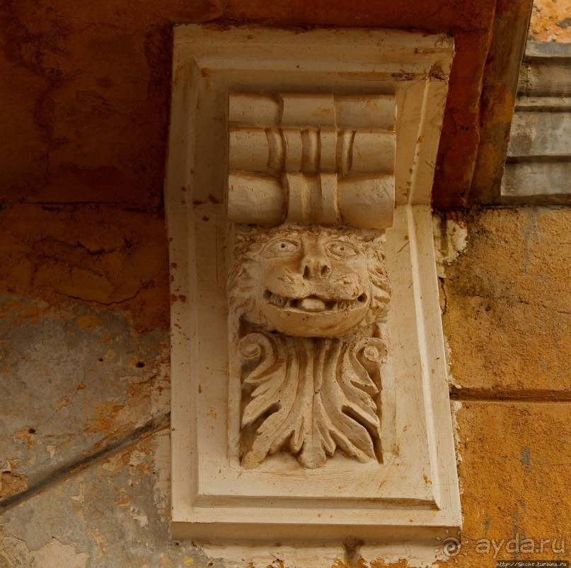 А вот и котиков нам в ленту;) Коты и кошки Мазаргана