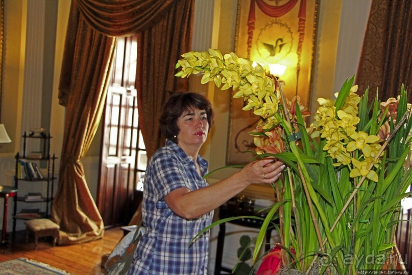 Почувствуй себя колонизатором (отель в Куэнке)