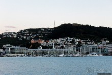 Знакомимся с Веллингтоном. Вечерняя прогулка по Te Aрo