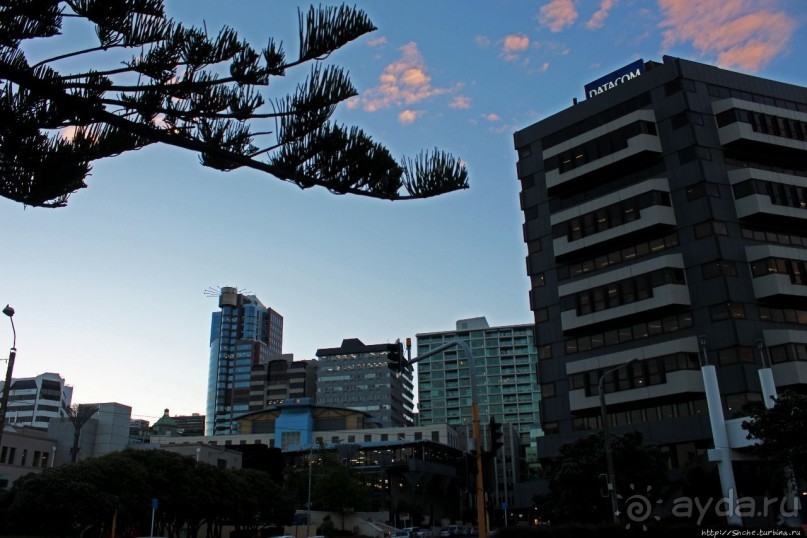 Знакомимся с Веллингтоном. Вечерняя прогулка по Te Aрo