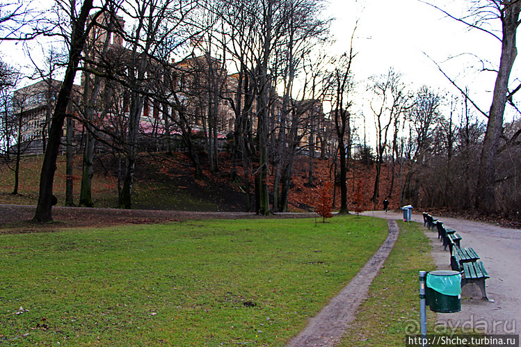 Тихие аллеи на берегах Изара