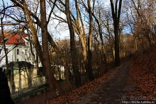 Тихие аллеи на берегах Изара