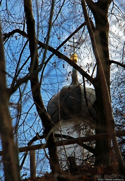 Тихие аллеи на берегах Изара