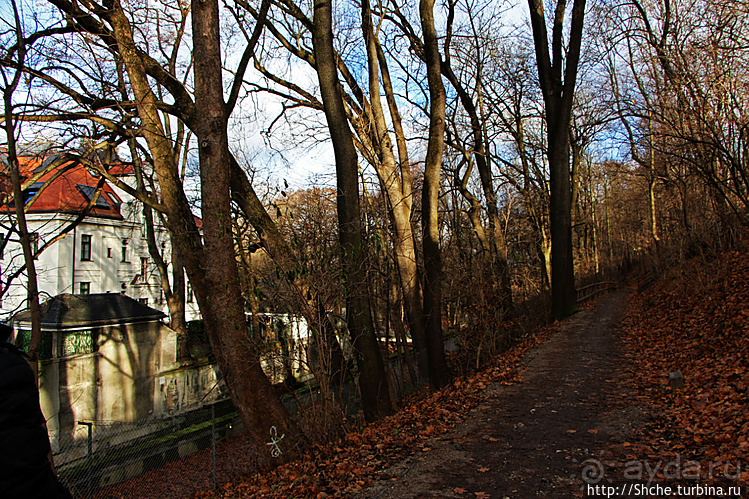 Тихие аллеи на берегах Изара