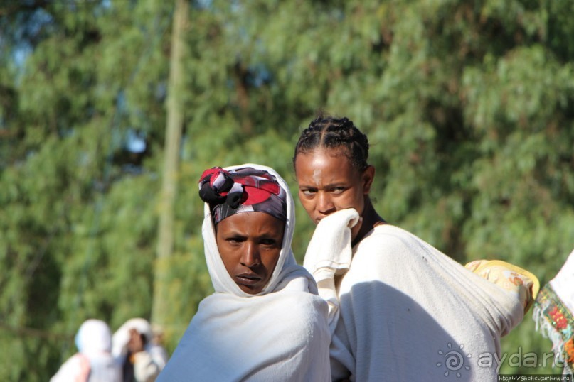 Белые одежды