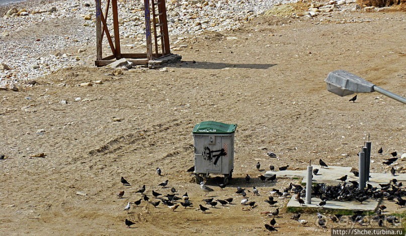 Меж двух заливов. Пляж Вотсалакия в Пирее