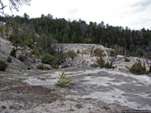 Мамонтовы горячие источники - террасы Клеопатры и Минервы