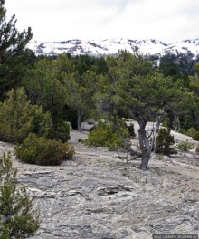 Мамонтовы горячие источники - террасы Клеопатры и Минервы