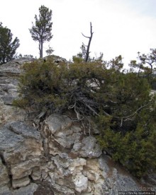 Мамонтовы горячие источники - террасы Клеопатры и Минервы