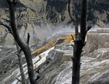 Мамонтовы горячие источники - террасы Клеопатры и Минервы