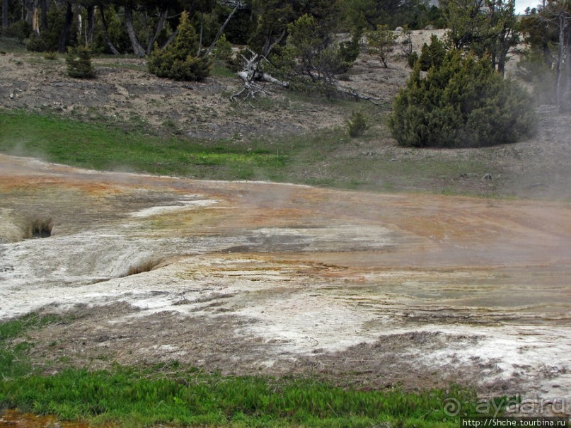 Мамонтовы горячие источники - террасы Клеопатры и Минервы