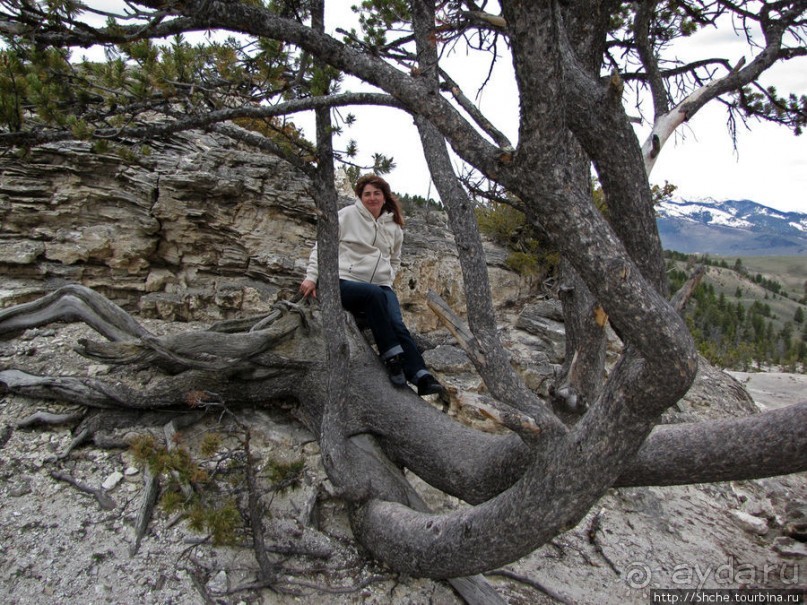 Мамонтовы горячие источники - террасы Клеопатры и Минервы