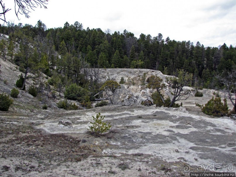 Мамонтовы горячие источники - террасы Клеопатры и Минервы