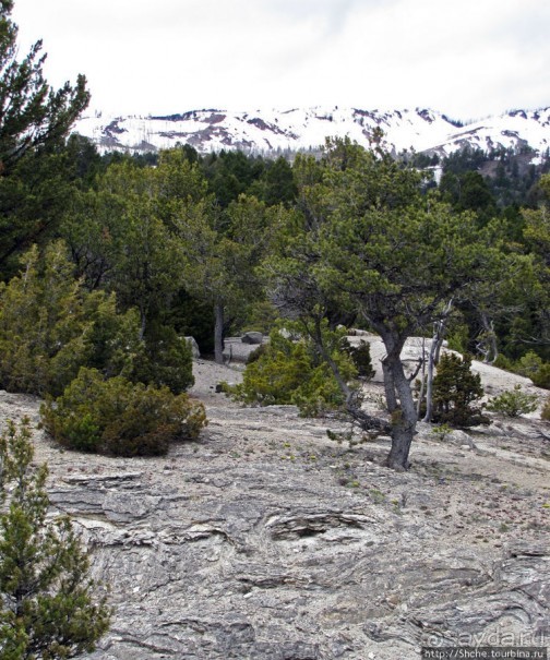 Мамонтовы горячие источники - террасы Клеопатры и Минервы