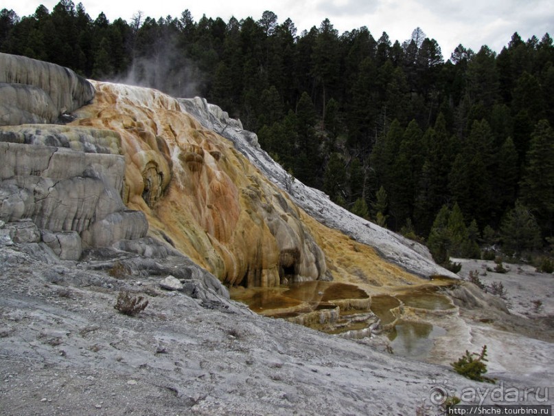 Мамонтовы горячие источники - террасы Клеопатры и Минервы